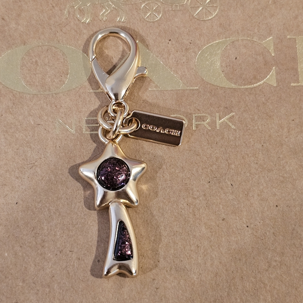 Coach Purple Star charm